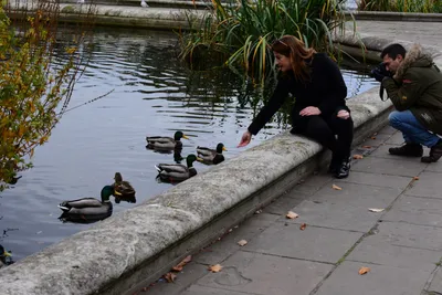 DSC_0546 (Large).JPG